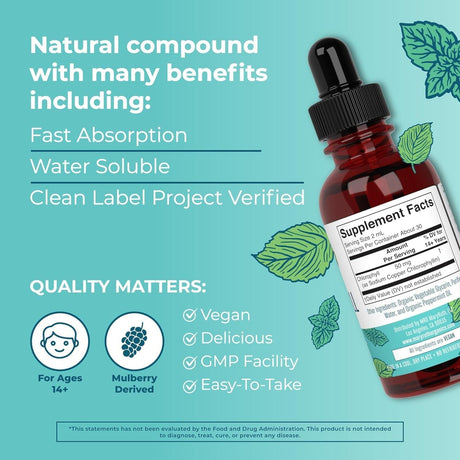 Maryruth'S Chlorophyll Liquid Drops | Clean Label Project Certified® | Vegan | Non-Diluted Liquid Chlorophyll| Mulberry Derived Supplement for Ages 14+ | Non-Gmo | Delicious Minty Flavor | 2 Fl Oz - Supply Center USA