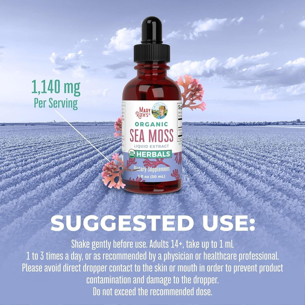 Maryruth Organics Irish Sea Moss Liquid Drops | Sugar Free | Seamoss for Gut Health and Immune Support | Formulated for Adults & Kids Ages 14+ | Unflavored | Vegan | USDA Organic | Non-Gmo | 1 Fl Oz - Supply Center USA