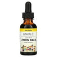 Eclectic Institute, Kids Herbs, Lemon Balm, Lemon Flavor, 1 fl oz (30 ml) - Supply Center USA