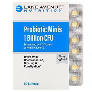 Lake Avenue Nutrition, Probiotic Minis, 2 Strains of Healthy Bacteria, 1 Billion CFU, 90 Mini Softgels - Supply Center USA