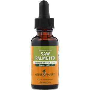 Herb Pharm, Saw Palmetto, 1 fl oz (30 ml) - Supply Center USA