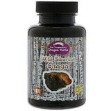 Dragon Herbs, Wild Siberian Chaga, 500 mg, 100 Capsules - Supply Center USA