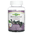 Nature's Way, Sambucus for Kids, Standardized Elderberry Gummies, 60 Gummies - Supply Center USA