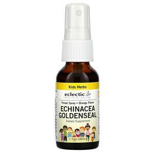 Eclectic Institute, Kids Herbs, Echinacea Goldenseal, Orange, 1 fl oz (30 ml) - Supply Center USA