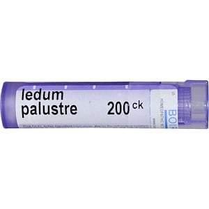 Boiron, Single Remedies, Ledum Palustre, 200CK, Approx 80 Pellets - Supply Center USA