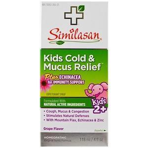 Similasan, Kids Cold & Mucus Relief, Kids 2+, Grape Flavor, 4 fl oz (118 ml) - Supply Center USA