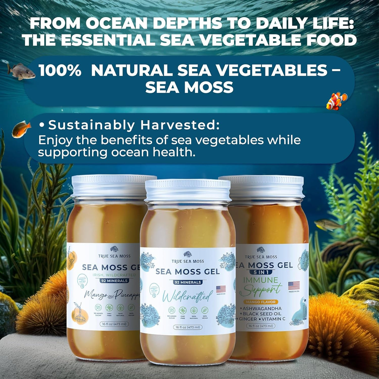 Trueseamoss Wildcrafted Irish Sea Moss Gel –7 Flavors- Nutritious Raw Seamoss Rich in Minerals, Proteins & Vitamins – Antioxidant Health Sea Moss, Vegan Made in USA (MANGO/PINEAPPLE, 1)