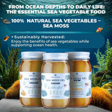 Trueseamoss Wildcrafted Irish Sea Moss Gel –7 Flavors- Nutritious Raw Seamoss Rich in Minerals, Proteins & Vitamins – Antioxidant Health Sea Moss, Vegan Made in USA (MANGO/PINEAPPLE, 1)