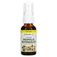 Eclectic Institute, Kids Herbs, Propolis Astragalus, Throat Spray, 1 fl oz (30 ml) - Supply Center USA