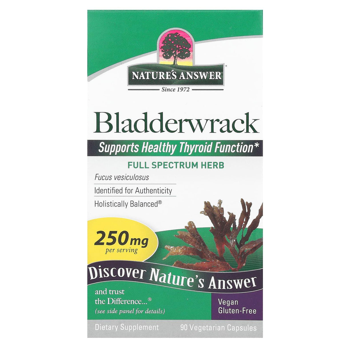 Nature's Answer, Bladderwrack, 250 mg, 90 Vegetarian Capsules - Supply Center USA