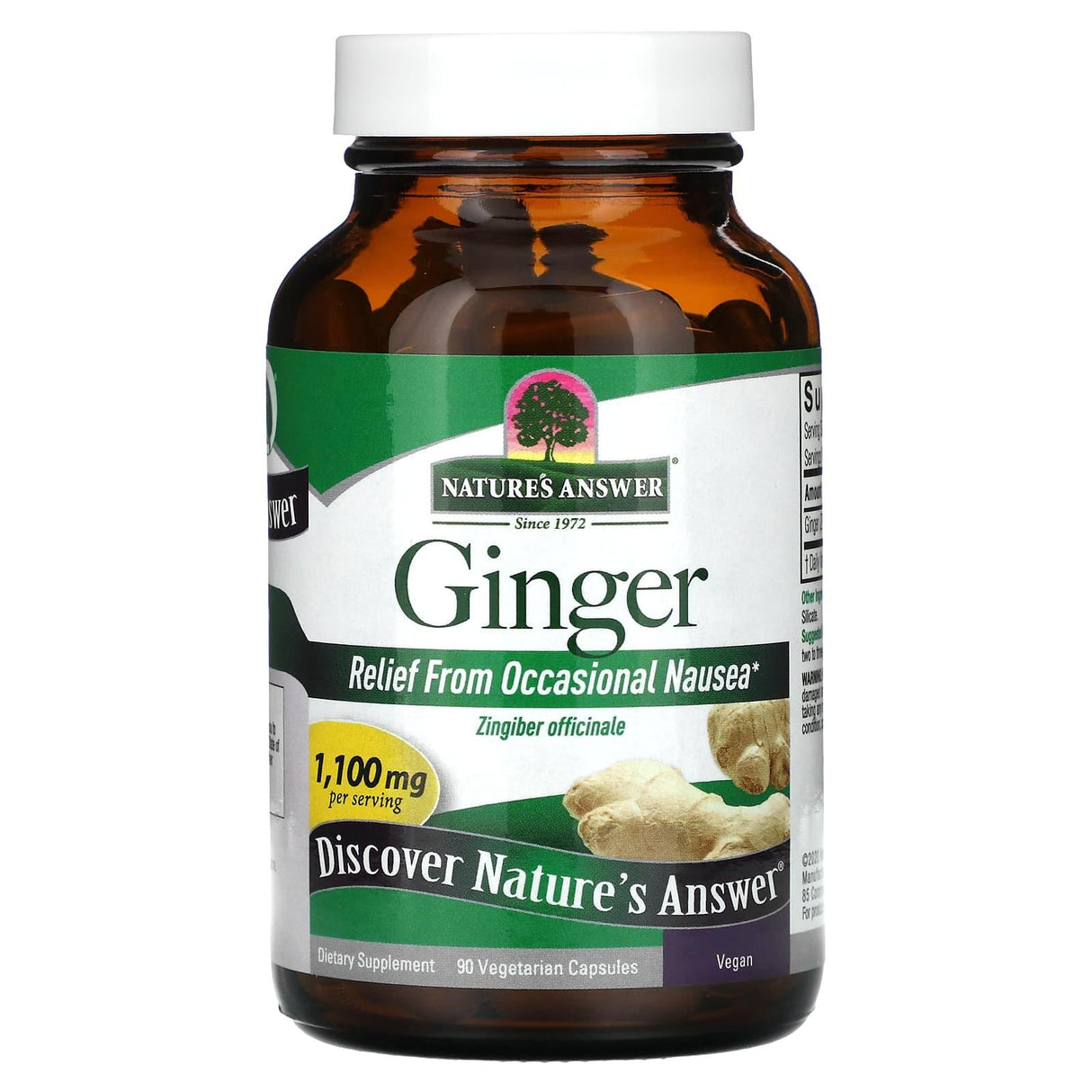 Nature's Answer, Ginger, 1,100 mg, 90 Vegetarian Capsules (550 mg per Capsule) - Supply Center USA