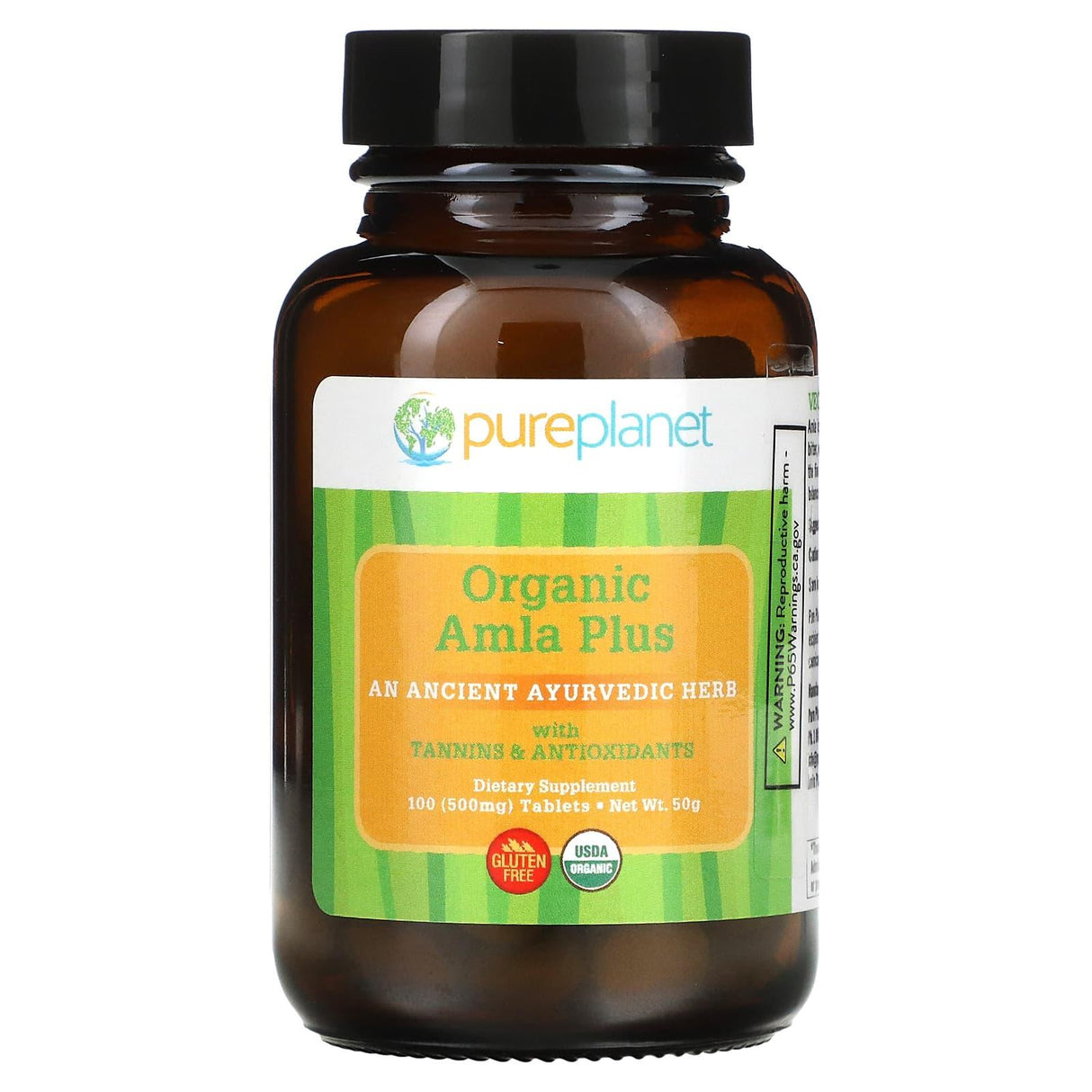 Pure Planet, Organic Amla Plus, 500 mg, 100 Tablets - Supply Center USA