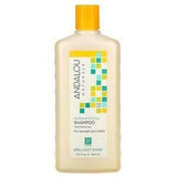 Andalou Naturals, Shampoo, Brilliant Shine, For Strength and Vitality, Sunflower & Citrus, 11.5 fl oz (340 ml) - Supply Center USA