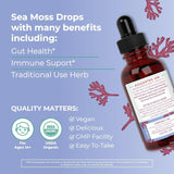 Maryruth Organics Irish Sea Moss Liquid Drops | Sugar Free | Seamoss for Gut Health and Immune Support | Formulated for Adults & Kids Ages 14+ | Unflavored | Vegan | USDA Organic | Non-Gmo | 1 Fl Oz - Supply Center USA