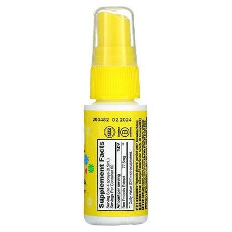 Beekeeper's Naturals, Kids, Propolis Throat Spray, 1.06 fl oz (30 ml) - Supply Center USA