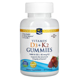 Nordic Naturals, Vitamin D3 + K2 Gummies, Pomegranate, 60 Gummies - Supply Center USA