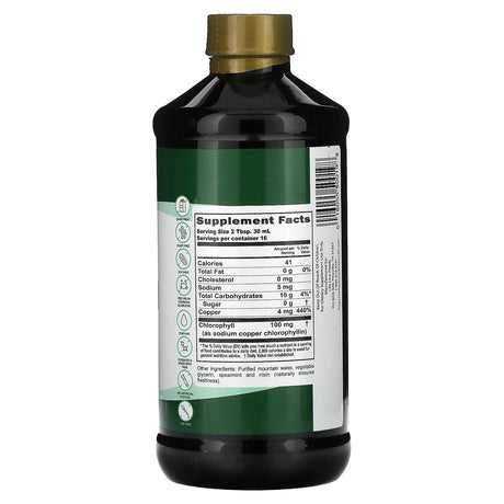 Buried Treasure, Liquid Chlorophyll, Spearmint, 16.54 fl oz (496 ml) - Supply Center USA