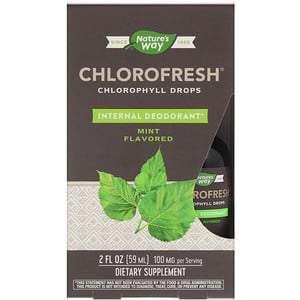 Nature's Way, Chlorofresh, Chlorophyll Drops, Mint Flavored, 2 fl oz (59 ml) - Supply Center USA