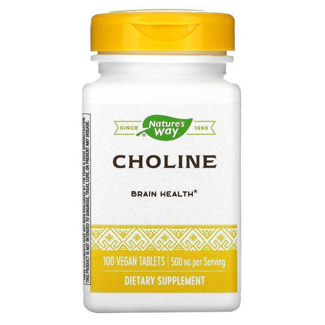 Nature's Way, Choline, 500 mg, 100 Vegan Tablets - Supply Center USA