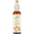 Bach, Original Flower Remedies, Aspen, 0.7 fl oz (20 ml) - Supply Center USA