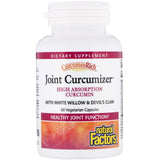 Natural Factors, CurcuminRich, Joint Curcumizer, 60 Vegetarian Capsules - Supply Center USA