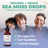 Maryruth Organics Irish Sea Moss Liquid Drops | Sugar Free | Seamoss for Gut Health and Immune Support | Formulated for Adults & Kids Ages 14+ | Unflavored | Vegan | USDA Organic | Non-Gmo | 1 Fl Oz - Supply Center USA