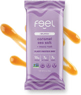 Feel Vegan Protein Bars - Keto, Gluten Free, Organic, 15G Protein - Dairy Free, Low Sugar - Variety Pack (6 Flavors, 6 Pack)