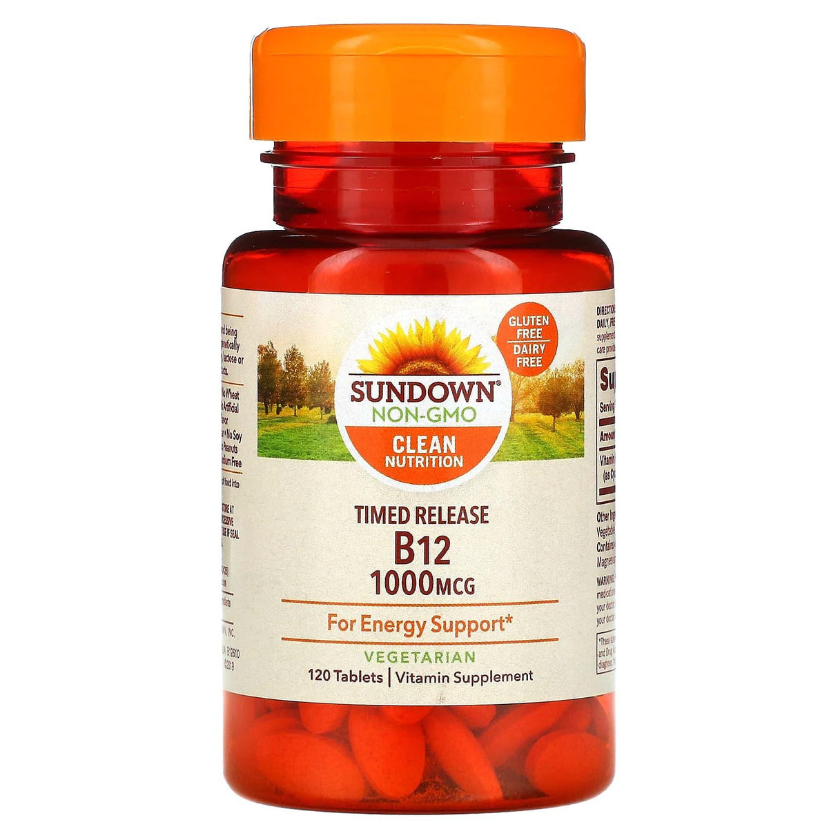 Sundown Naturals, Time Release Vitamin B12, 1,000 mcg, 120 Tablets - Supply Center USA