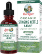 Maryruth Organics Stinging Nettle Leaf Extract | Detox Supplement Herbal Drops | USDA Organic | Vegan | Non-Gmo | Gluten Free | 1 Fluid Oz - Supply Center USA