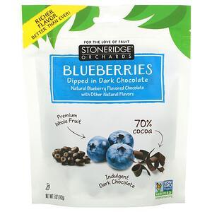 Stoneridge Orchards, Blueberries, Dipped in Dark Chocolate, 70% Cocoa, 5 oz (142 g) - HealthCentralUSA