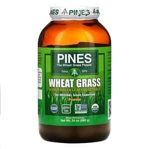 Pines International, Pines Wheat Grass, Powder, 1.5 lbs (680 g) - Supply Center USA