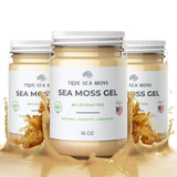 Trueseamoss Wildcrafted Irish Sea Moss Gel –7 Flavors- Nutritious Raw Seamoss Rich in Minerals, Proteins & Vitamins – Antioxidant Health Sea Moss, Vegan Made in USA (MANGO/PINEAPPLE, 1)
