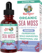 Maryruth Organics Irish Sea Moss Liquid Drops | Sugar Free | Seamoss for Gut Health and Immune Support | Formulated for Adults & Kids Ages 14+ | Unflavored | Vegan | USDA Organic | Non-Gmo | 1 Fl Oz - Supply Center USA