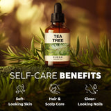 Kukka Tea Tree Oil for Skin, Healthy Hair & Toenails - Huge 4 Fl Oz - 100% Pure Natural Australian Tea Tree Essential Oil - Experience Therapeutic Melaleuca Oil for Scalp, Nails & Soap Making Scent