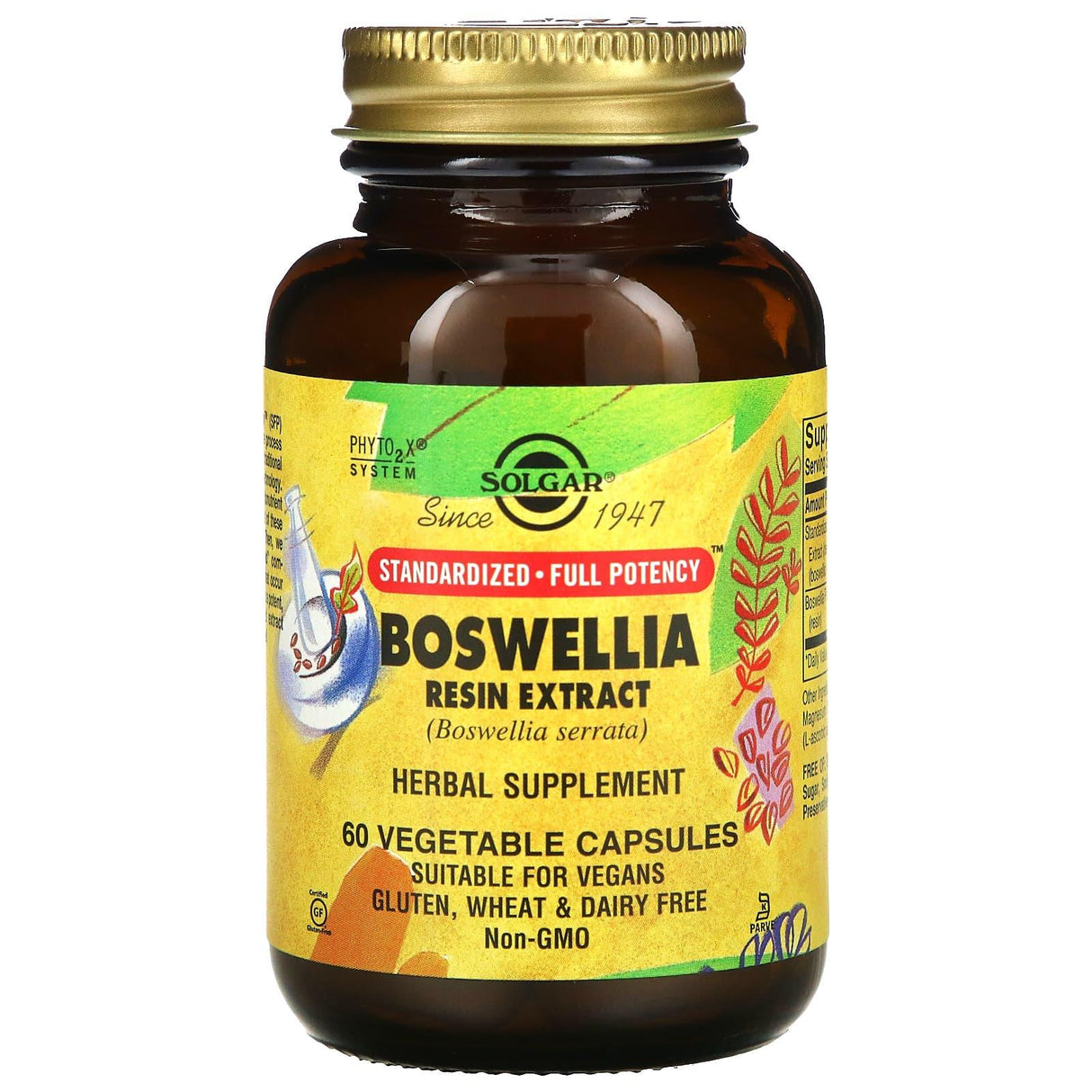 Solgar, Boswellia Resin Extract, 60 Vegetable Capsules - Supply Center USA