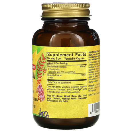 Solgar, Boswellia Resin Extract, 60 Vegetable Capsules - Supply Center USA