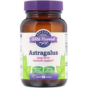 Oregon's Wild Harvest, Astragalus, 90 Gelatin Capsules - Supply Center USA