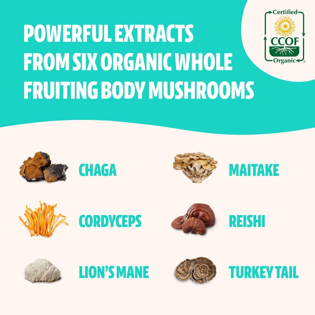 Freshcap Ultimate Mushroom Complex - Ayurveda Lions Mane, Reishi, Cordyceps, Chaga, Turkey Tail, Maitake - Immune Support & Nootropic Supplements for Immunity, Energy, Memory & Focus (120 Capsules)