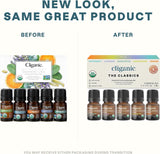 Cliganic Organic Essential Oils Set (Top 5) - 100% Pure Natural - Aromatherapy, Candle Making - Peppermint, Lavender, Eucalyptus, Lemongrass & Orange (Packaging May Vary)