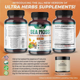 Organic Sea Moss Capsules 12,900Mg with Black Seed Oil, Ashwagandha, Burdock Root, Bladderwrack for Immune System, Gut, Skin & Energy *USA Made & Tested* (150 Count (Pack of 1)) - Supply Center USA