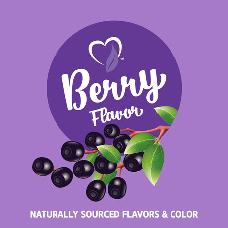 21st Century, VitaJoy Gummies, Sambucus Elderberry, 60 Vegetarian Gummies - Supply Center USA