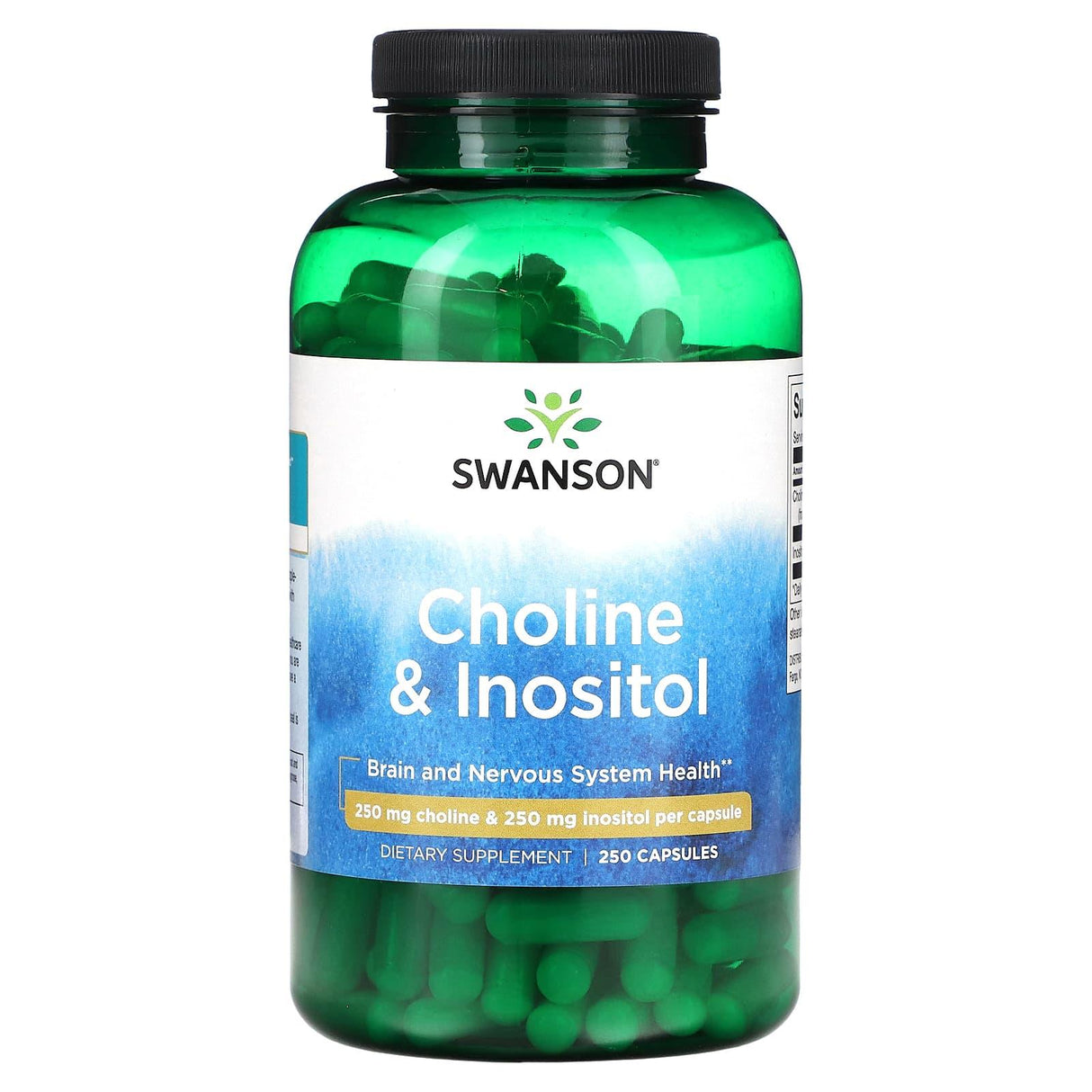 Swanson, Choline & Inositol, 250 mg, 250 Capsules - Supply Center USA