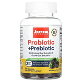 Jarrow Formulas, Probiotic + Prebiotic, Blackberry, 2 Billion, 90 Gummies - Supply Center USA