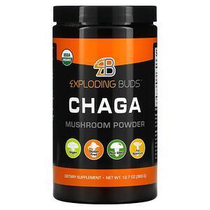 Exploding Buds, Chaga, Mushroom Powder, 12.7 oz (360 g) - Supply Center USA