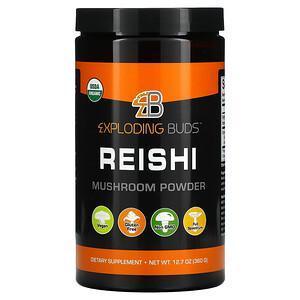 Exploding Buds, Reishi, Mushroom Powder, 12.7 oz (360 g) - Supply Center USA