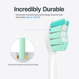Replacement Toothbrush Heads for Philips Sonicare Replacement Heads C2, Electric Replacement Brush Head Compatible with Phillips Sonicare Toothbrush C2,C1,For Philips Sonic Care Brush,10 Pack