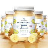 Trueseamoss Wildcrafted Irish Sea Moss Gel –7 Flavors- Nutritious Raw Seamoss Rich in Minerals, Proteins & Vitamins – Antioxidant Health Sea Moss, Vegan Made in USA (MANGO/PINEAPPLE, 1)