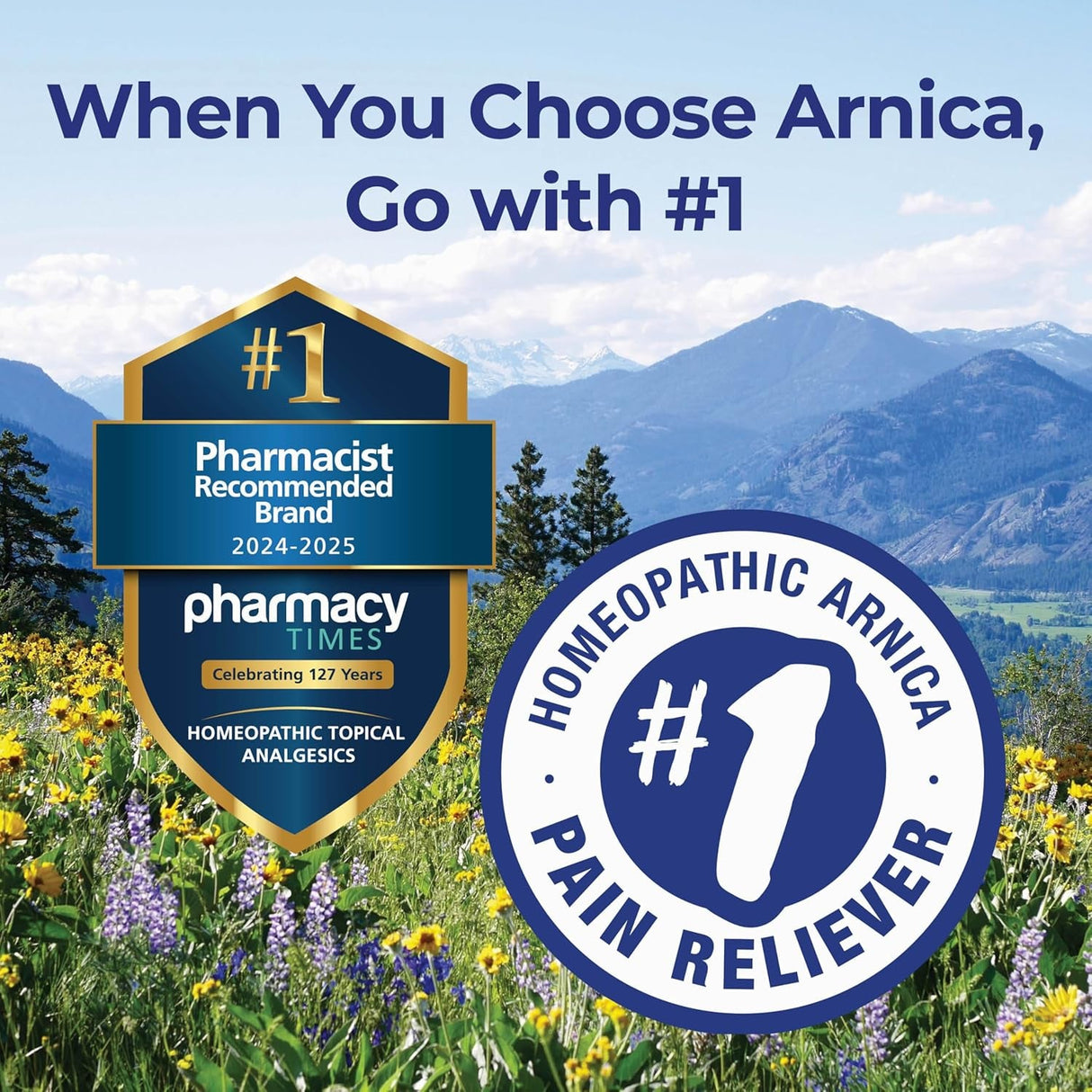Boiron Arnicare Gel for Soothing Relief of Joint Pain, Muscle Pain, Muscle Soreness, and Swelling from Bruises or Injury - Non-Greasy and Fragrance-Free - 2.6 Oz