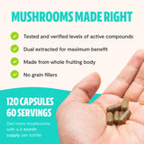 Freshcap Ultimate Mushroom Complex - Ayurveda Lions Mane, Reishi, Cordyceps, Chaga, Turkey Tail, Maitake - Immune Support & Nootropic Supplements for Immunity, Energy, Memory & Focus (120 Capsules)