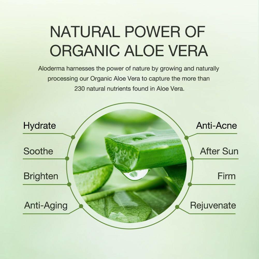 Aloderma 99% Organic Aloe Vera Gel Made within 12 Hours of Harvest - Lightweight, Non-Sticky Aloe Gel for Face and Body, Sunburn Relief, Natural, Soothing Hydrating Aloe Vera for Scalp & Hair, 10.6Oz - Supply Center USA